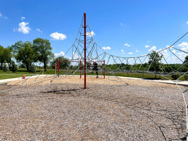 spider web at playground