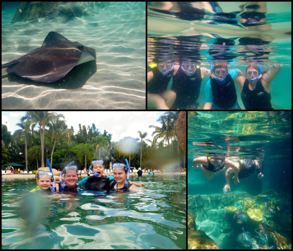 Snorkeling at Discovery Cove