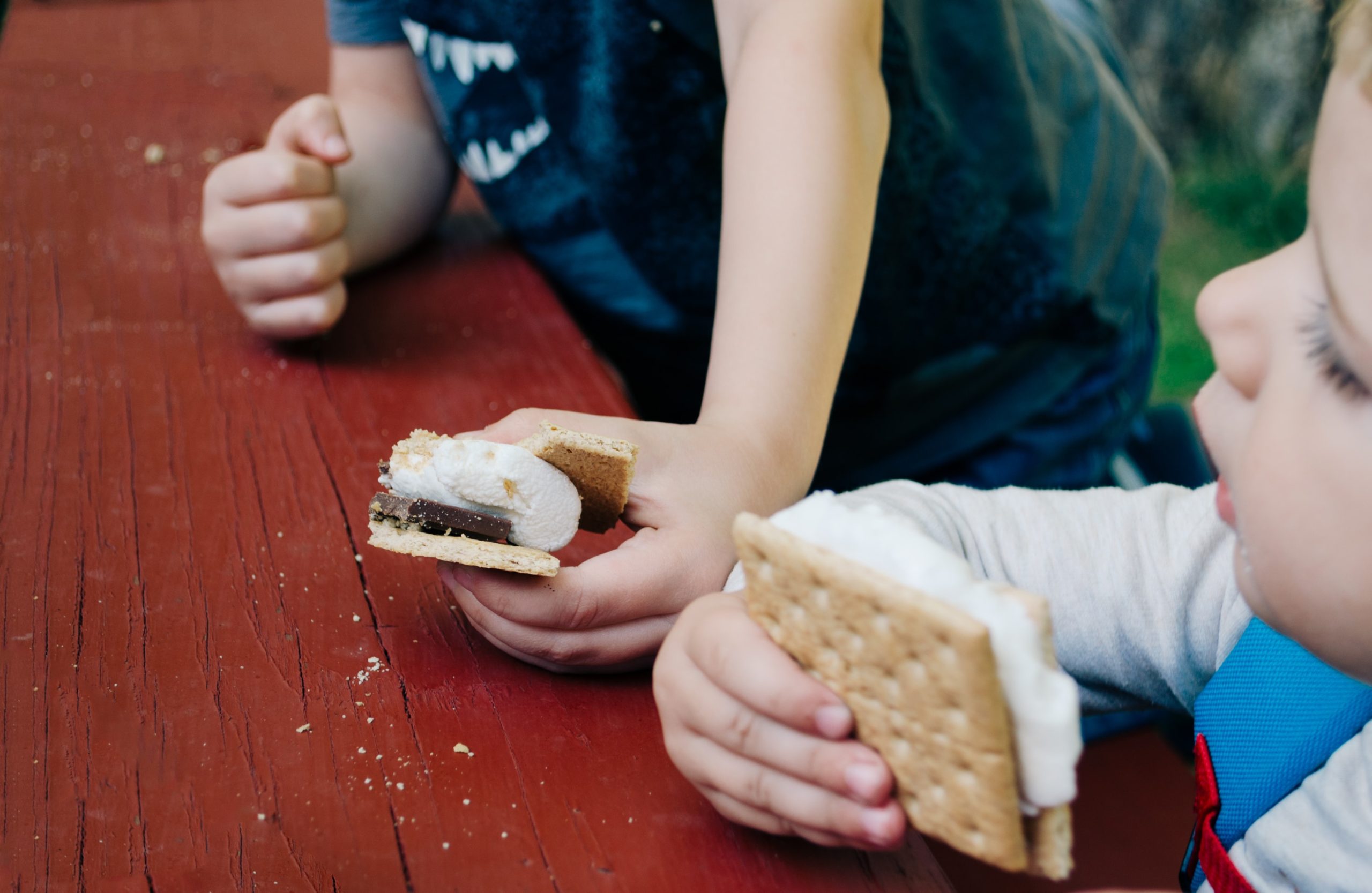 Smore bonfire summer family ideas