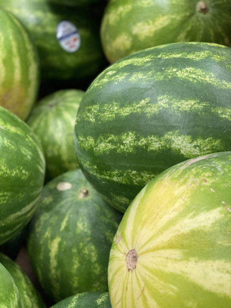 Watermelon Field Spot