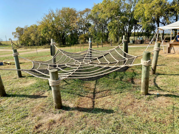 spider web 