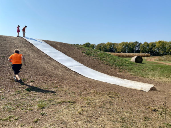sunflower giant slide