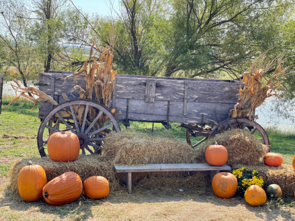 wagon display with pumpkins
