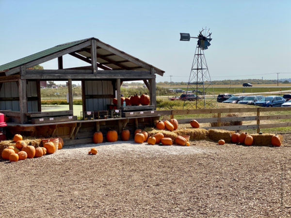 Family Farm