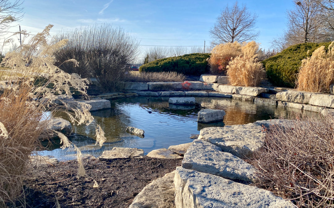 An Afternoon at Gezer Park