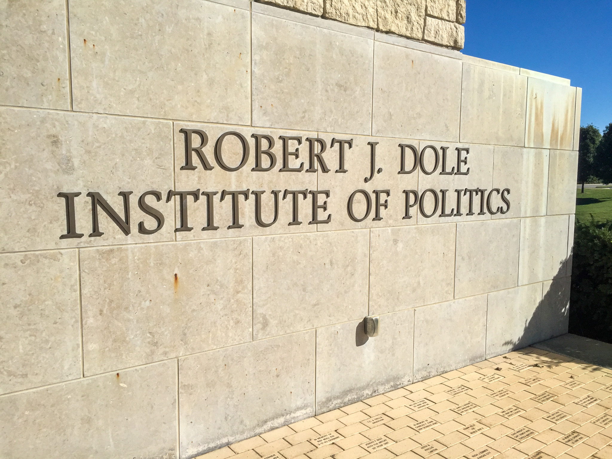 Dole Instituie Sign