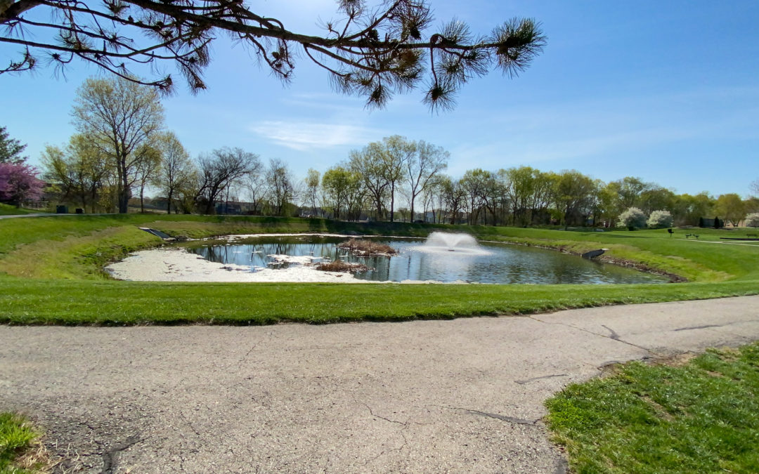 Blackhawk Park