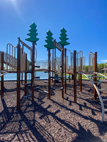 unique tree steps at veterans park