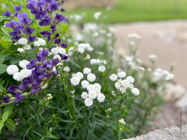 Wonderful landscape at Merriam Historic Plaza