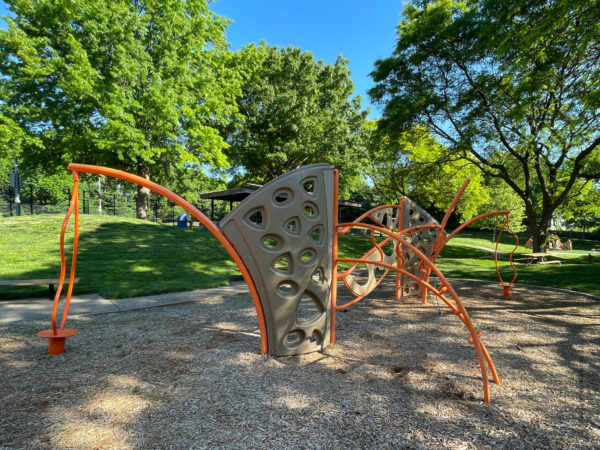 Climbing Structure at Matt Taylor