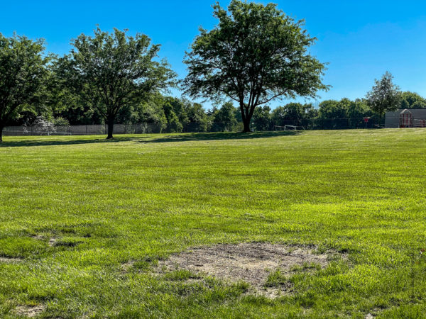Green Space at Lenexa Park