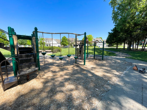 monkey bars and lillypad steps