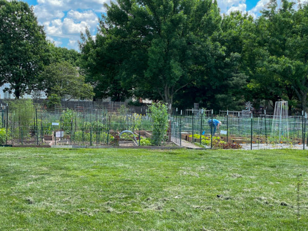 community garden at lenexa park