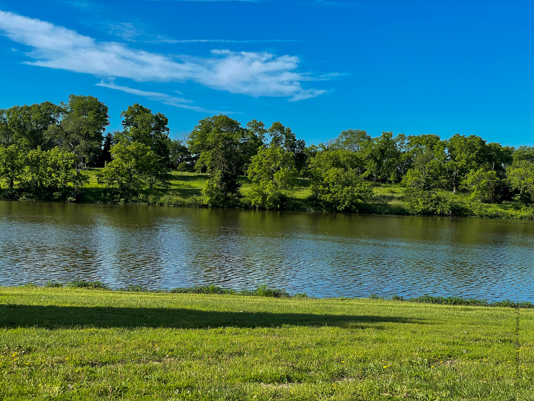 Cedar Lake Park Lake with trees in the background