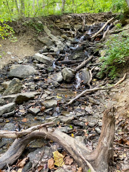 creek bed
