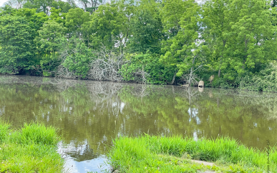 Edgerton Parks