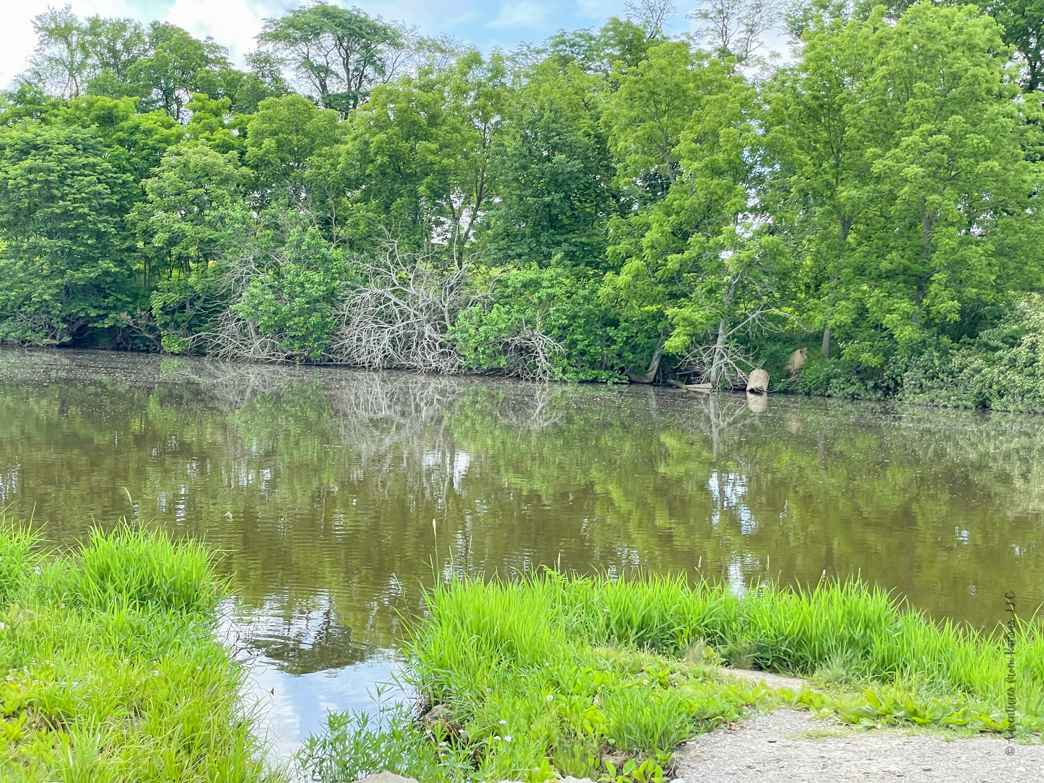 Edgerton Park Lake