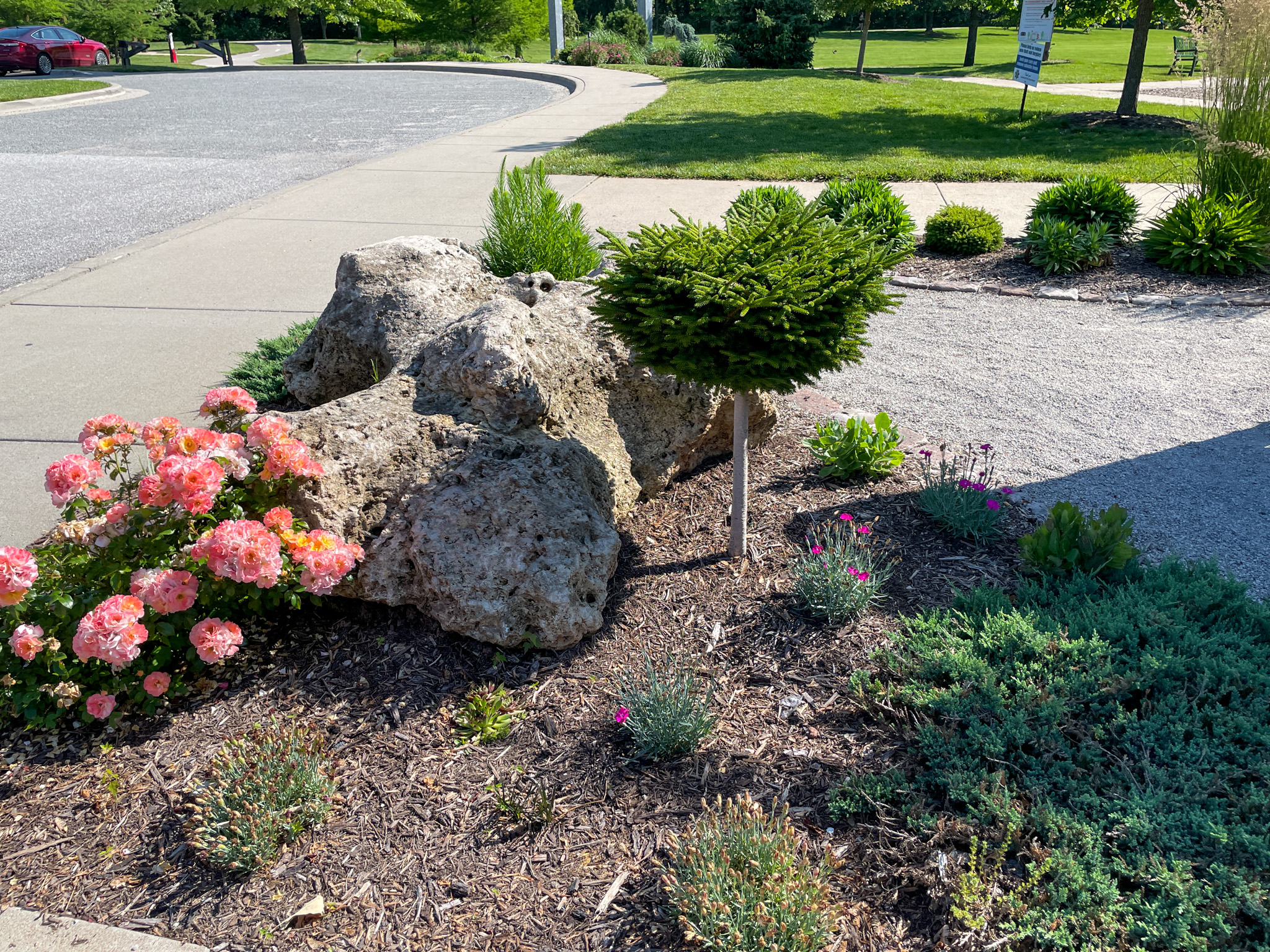 garden at I-Lan Park