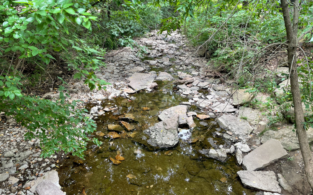 Flat Rock Creek Park