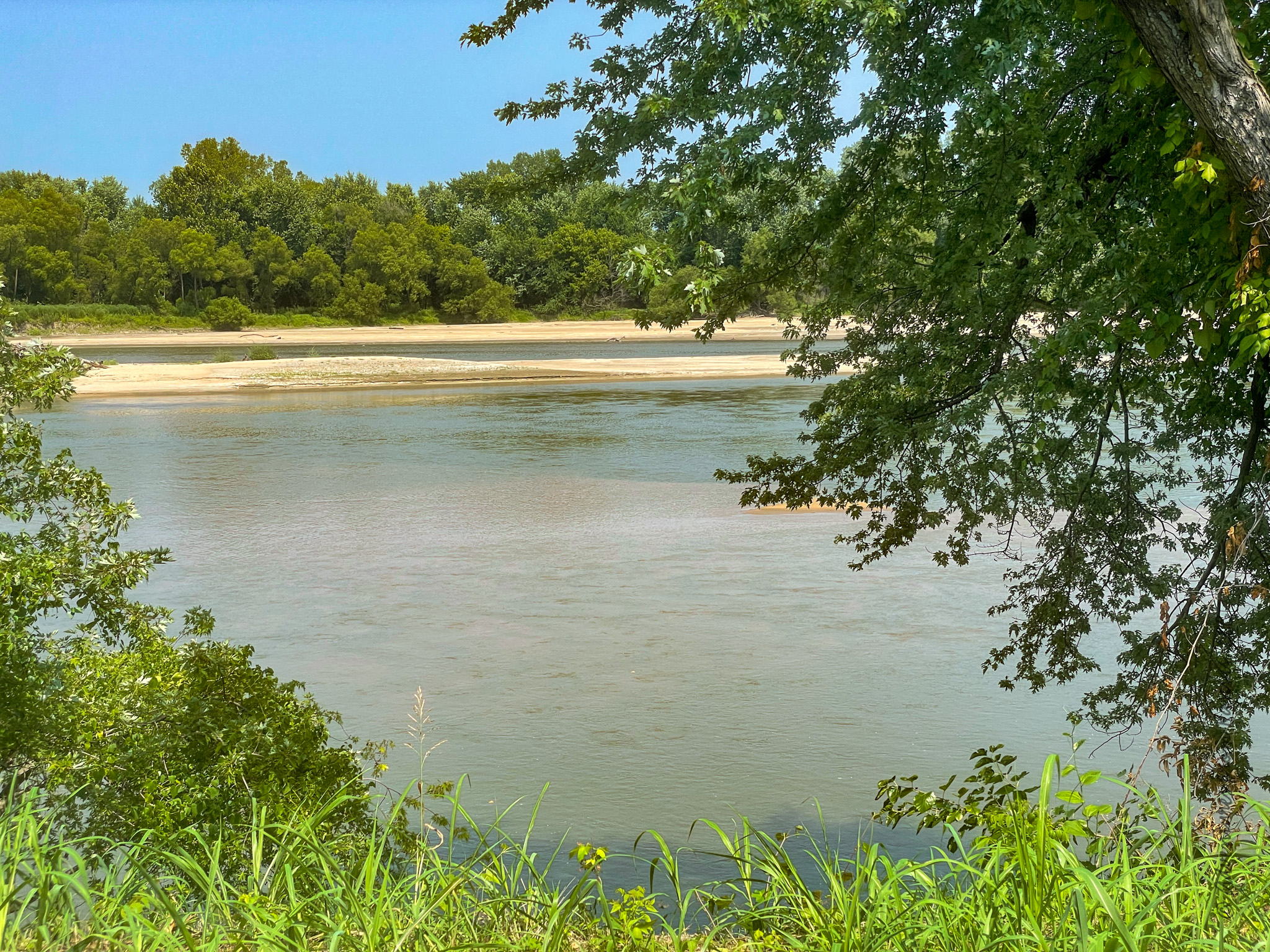 Lexington Lake with tree in foreground