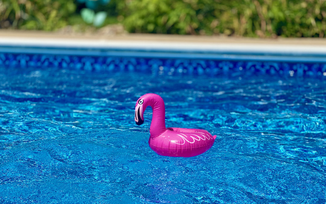 Exciting Summertime Toys