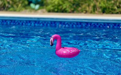 Exciting Summertime Toys