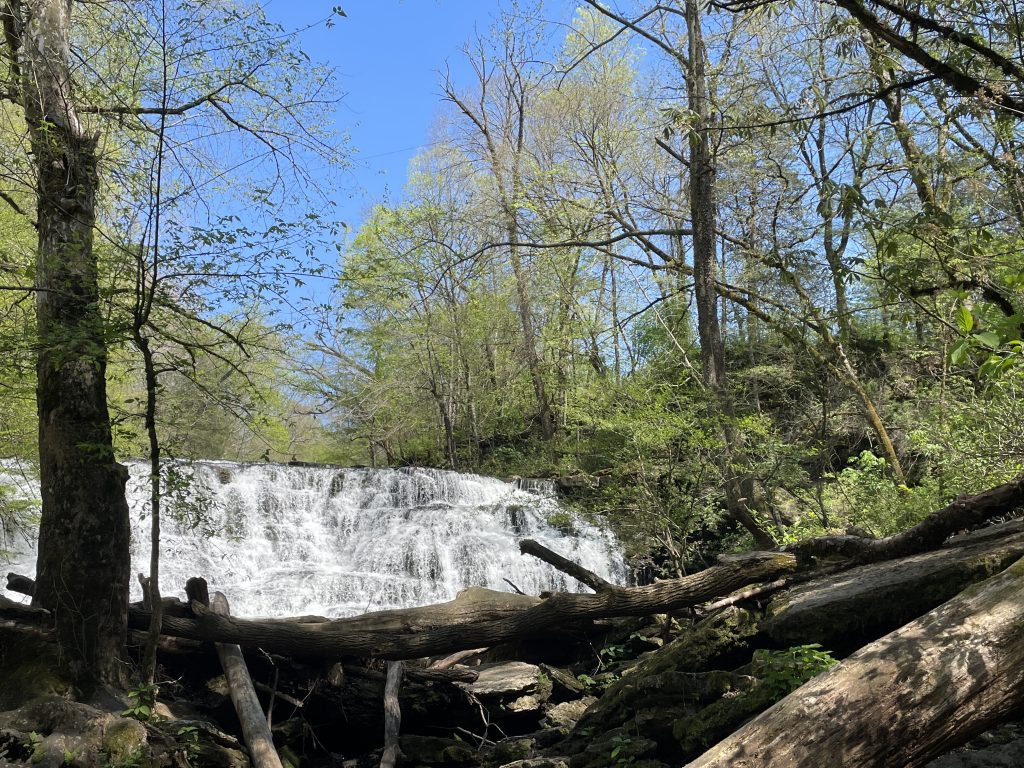 Rutledge Falls in Tennessee with trees.