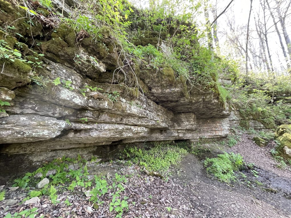 Rutledge Falls hiking trail