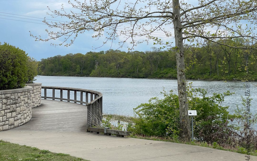 Black Hoof Park: Lenexa