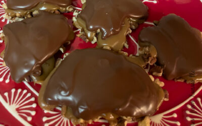 Turtles