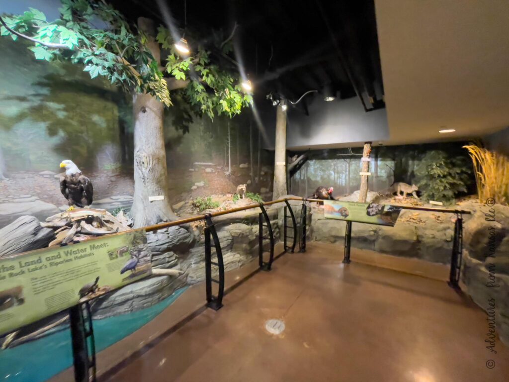 back corner of the visitor center with stuff animals and fish, shows guide so you see can't touch them
