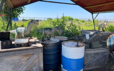 Field Station Dinosaurs