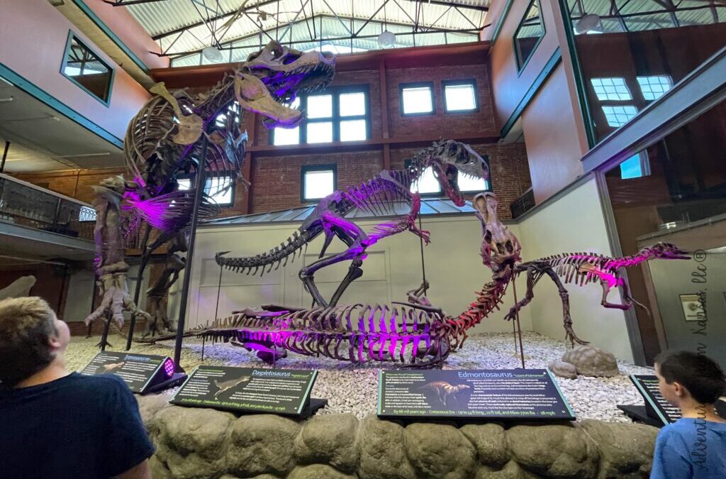 Museum of World Treasures